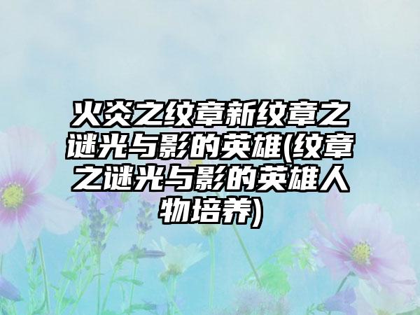 火炎之纹章新纹章之谜光与影的英雄(纹章之谜光与影的英雄人物培养)