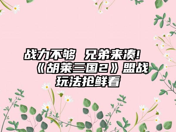 战力不够 兄弟来凑!《胡莱三国2》盟战玩法抢鲜看