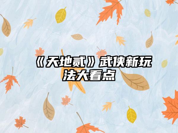 《天地贰》武侠新玩法大看点