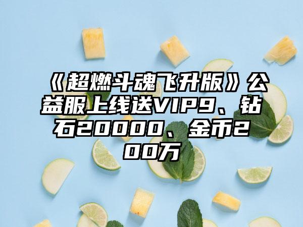 《超燃斗魂飞升版》公益服上线送VIP9、钻石20000、金币200万