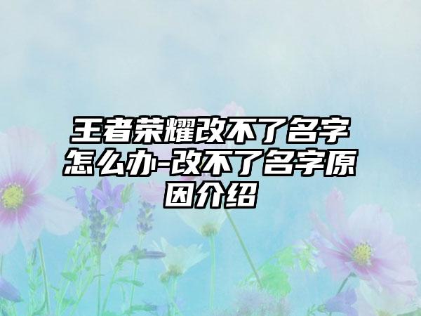 王者荣耀改不了名字怎么办-改不了名字原因介绍