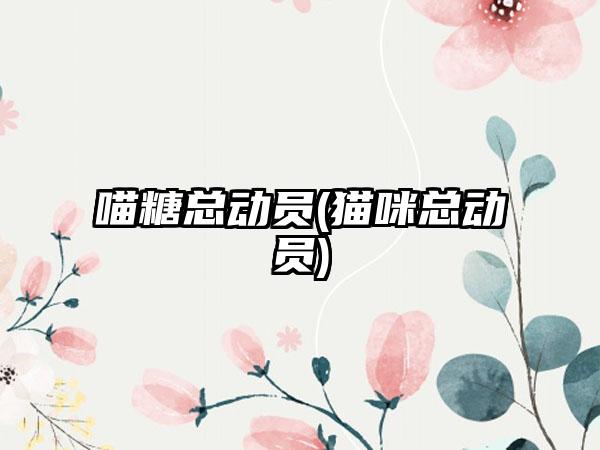 喵糖总动员(猫咪总动员)