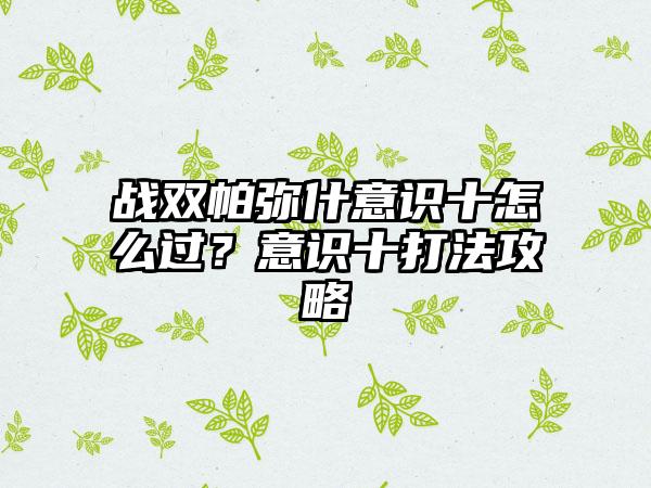 战双帕弥什意识十怎么过？意识十打法攻略