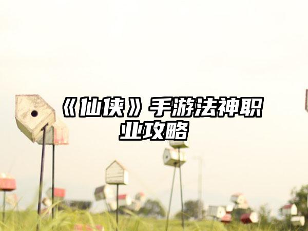 《仙侠》手游法神职业攻略