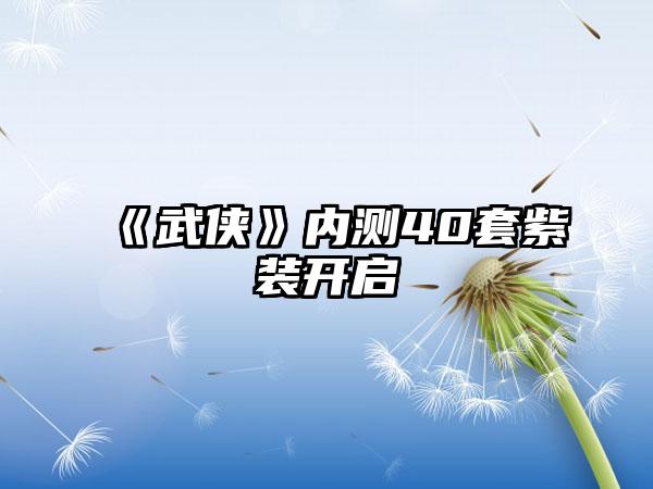 《武侠》内测40套紫装开启
