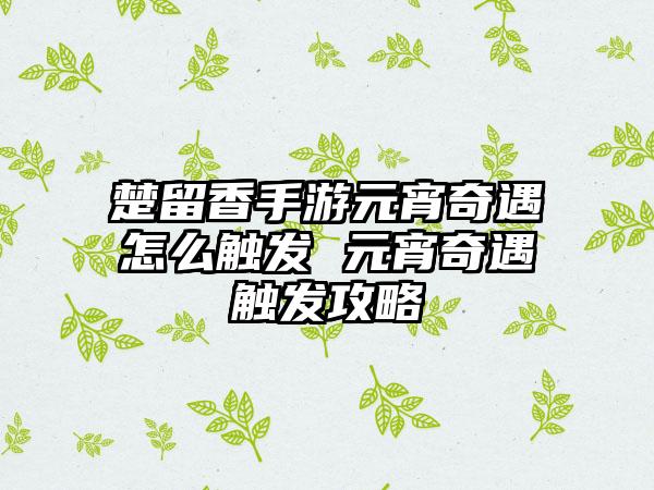 楚留香手游元宵奇遇怎么触发 元宵奇遇触发攻略