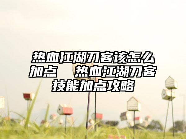 热血江湖刀客该怎么加点  热血江湖刀客技能加点攻略