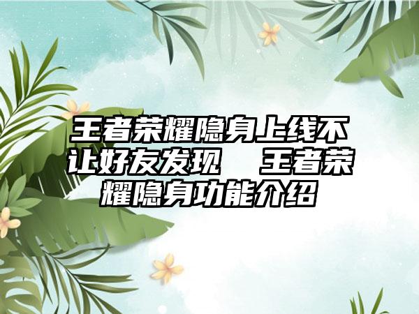 王者荣耀隐身上线不让好友发现  王者荣耀隐身功能介绍