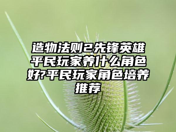 造物法则2先锋英雄平民玩家养什么角色好?平民玩家角色培养推荐