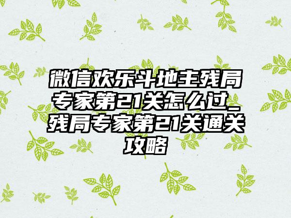微信欢乐斗地主残局专家第21关怎么过_残局专家第21关通关攻略