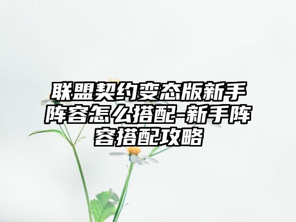 联盟契约变态版新手阵容怎么搭配-新手阵容搭配攻略