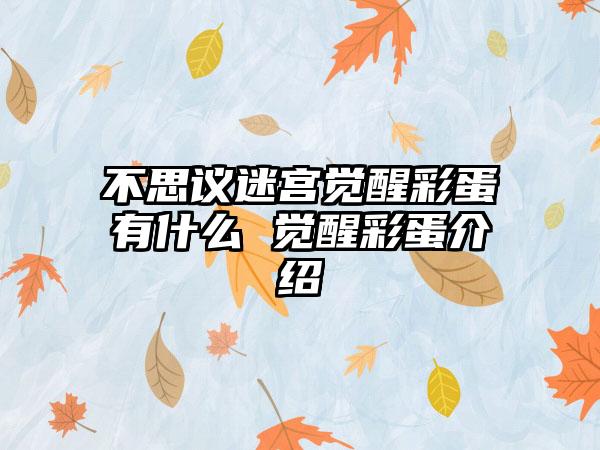 不思议迷宫觉醒彩蛋有什么 觉醒彩蛋介绍