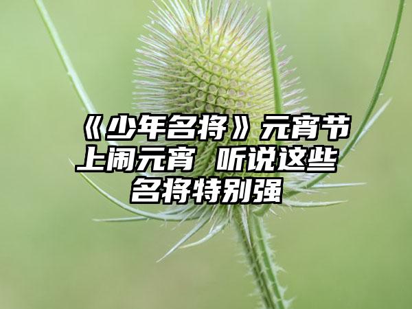 《少年名将》元宵节上闹元宵 听说这些名将特别强