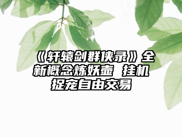 《轩辕剑群侠录》全新概念炼妖壶 挂机捉宠自由交易