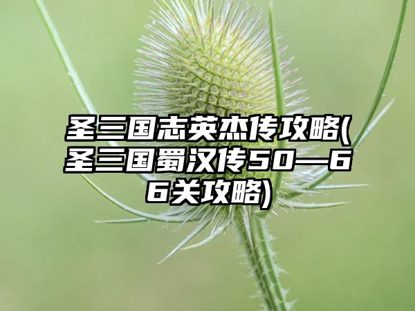 圣三国志英杰传攻略(圣三国蜀汉传50—66关攻略)