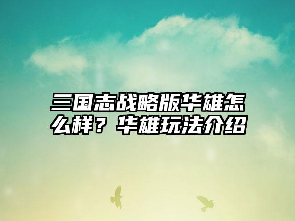 三国志战略版华雄怎么样？华雄玩法介绍