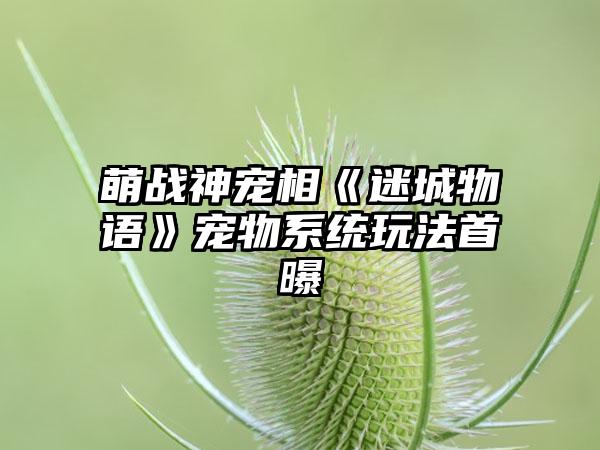 萌战神宠相《迷城物语》宠物系统玩法首曝