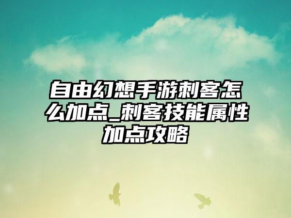 自由幻想手游刺客怎么加点_刺客技能属性加点攻略