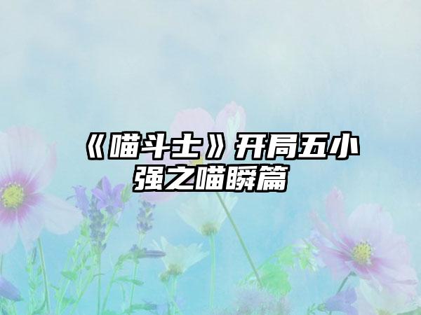 《喵斗士》开局五小强之喵瞬篇
