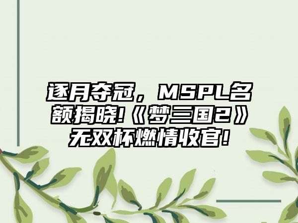逐月夺冠，MSPL名额揭晓!《梦三国2》无双杯燃情收官!