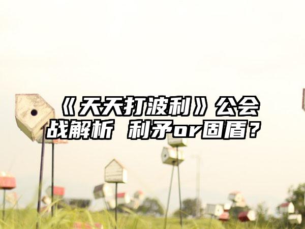 《天天打波利》公会战解析 利矛or固盾？