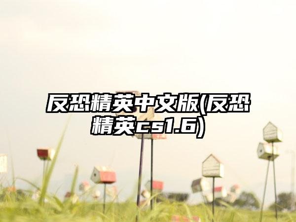 反恐精英中文版(反恐精英cs1.6)