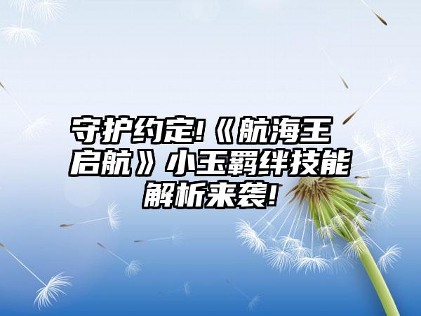 守护约定!《航海王 启航》小玉羁绊技能解析来袭!