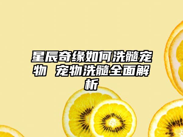 星辰奇缘如何洗髓宠物 宠物洗髓全面解析