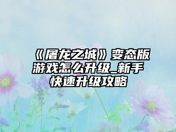 《屠龙之城》变态版游戏怎么升级_新手快速升级攻略