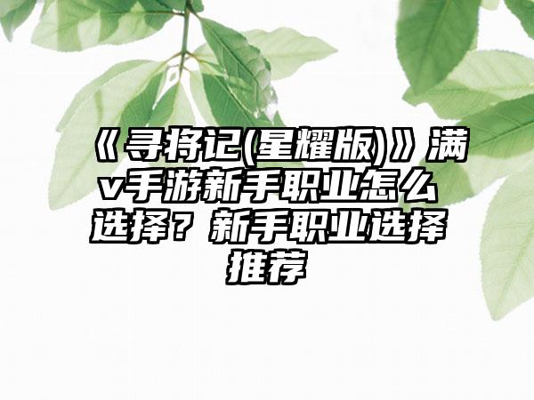 《寻将记(星耀版)》满v手游新手职业怎么选择？新手职业选择推荐