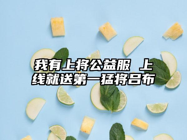 我有上将公益服 上线就送第一猛将吕布