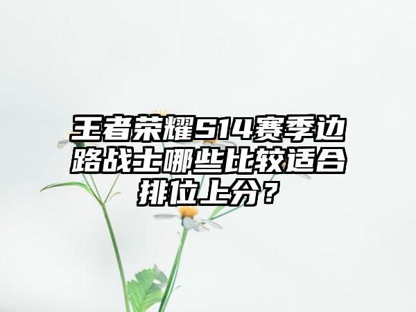 王者荣耀S14赛季边路战士哪些比较适合排位上分？