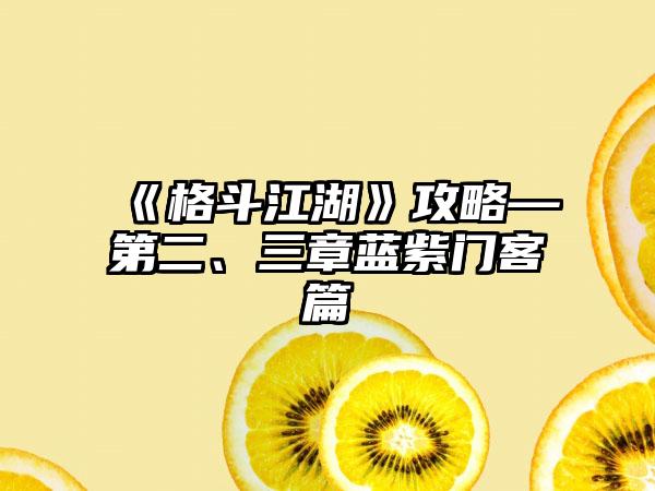 《格斗江湖》攻略—第二、三章蓝紫门客篇