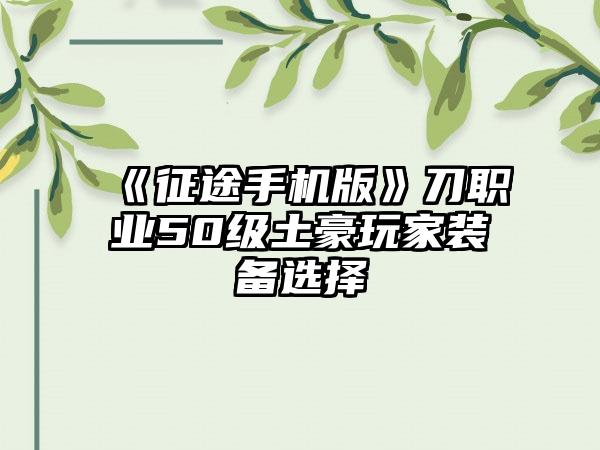 《征途手机版》刀职业50级土豪玩家装备选择