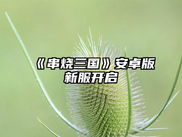 《串烧三国》安卓版新服开启