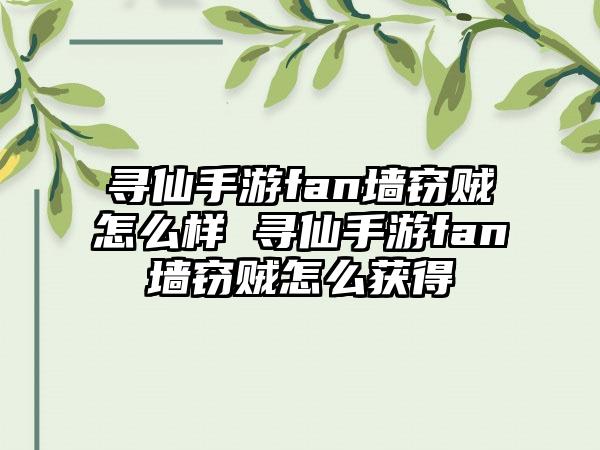 寻仙手游fan墙窃贼怎么样 寻仙手游fan墙窃贼怎么获得