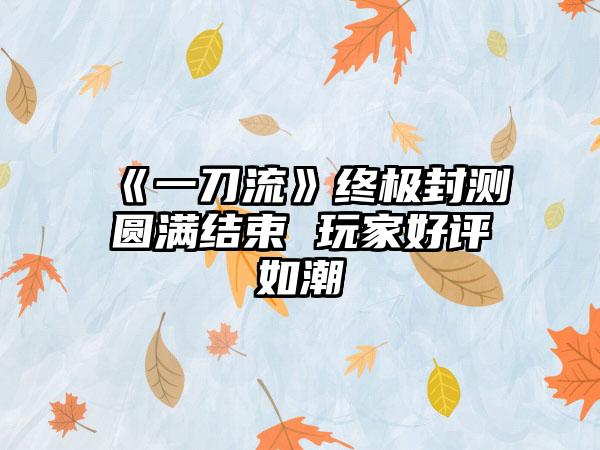 《一刀流》终极封测圆满结束 玩家好评如潮