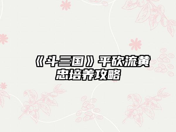 《斗三国》平砍流黄忠培养攻略