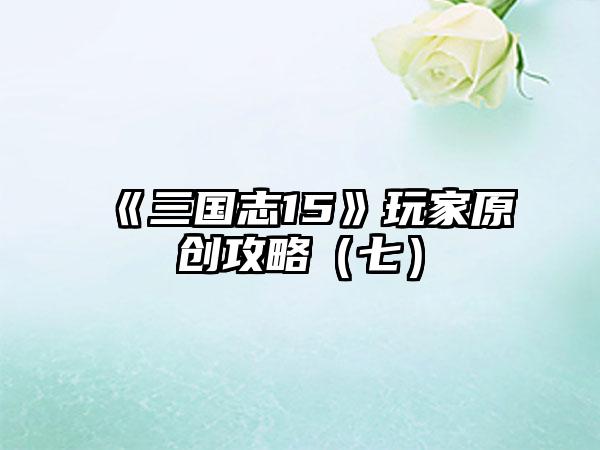 《三国志15》玩家原创攻略（七）