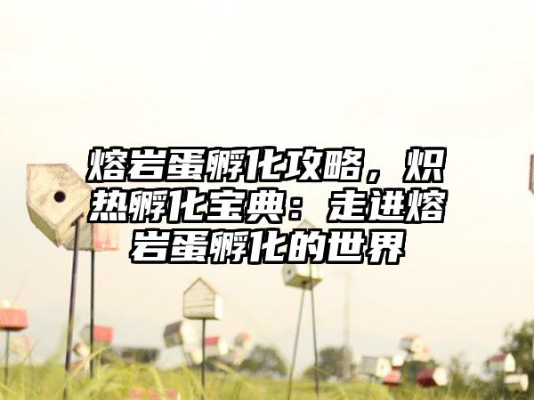 熔岩蛋孵化攻略，炽热孵化宝典：走进熔岩蛋孵化的世界