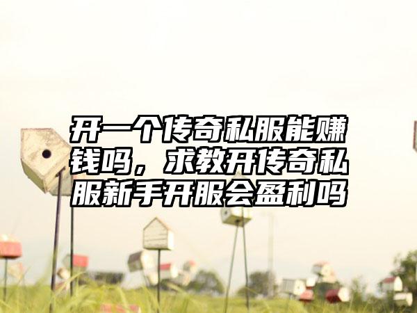 开一个传奇私服能赚钱吗，求教开传奇私服新手开服会盈利吗