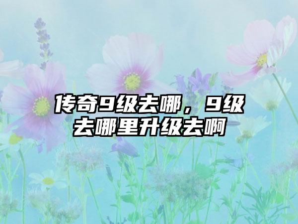 传奇9级去哪，9级去哪里升级去啊