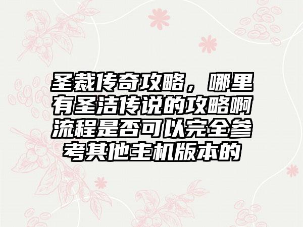 圣裁传奇攻略，哪里有圣洁传说的攻略啊流程是否可以完全参考其他主机版本的