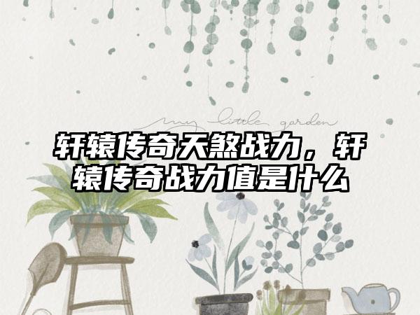 轩辕传奇天煞战力，轩辕传奇战力值是什么