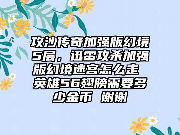 攻沙传奇加强版幻境5层，迅雷攻杀加强版幻境迷宫怎么走 英雄56翅膀需要多少金币 谢谢