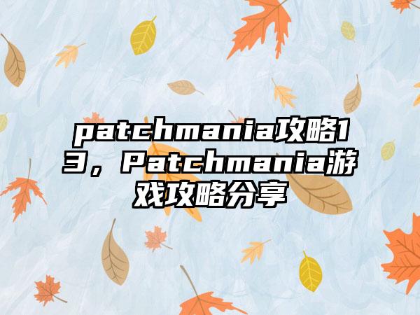 patchmania攻略13，Patchmania游戏攻略分享