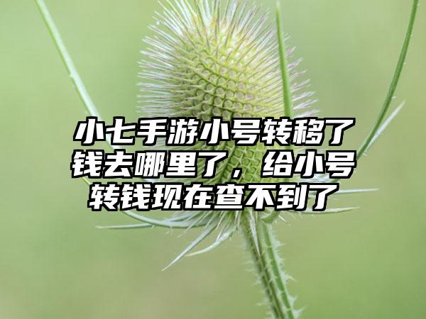 小七手游小号转移了钱去哪里了，给小号转钱现在查不到了