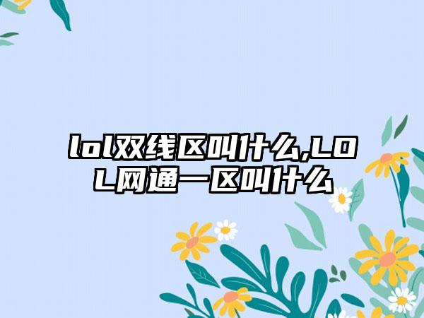 lol双线区叫什么,LOL网通一区叫什么