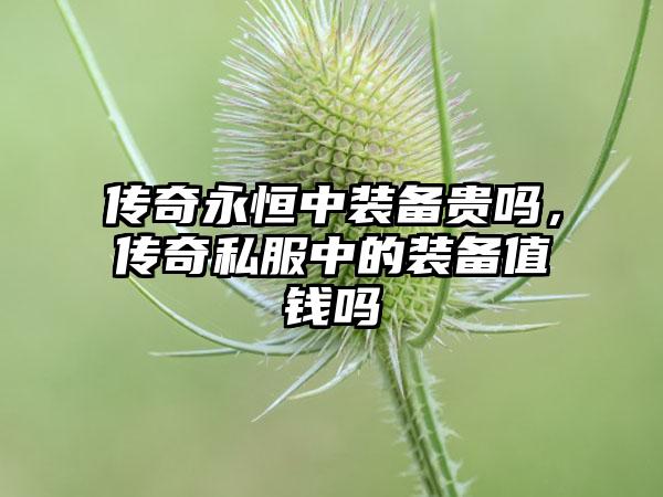 传奇永恒中装备贵吗，传奇私服中的装备值钱吗