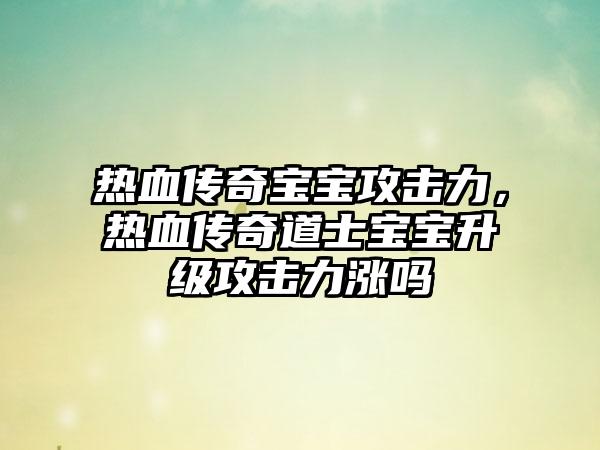 热血传奇宝宝攻击力，热血传奇道士宝宝升级攻击力涨吗
